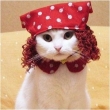 Avatar du membre