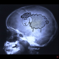 Avatar du membre