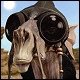 Avatar du membre
