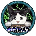 Avatar du membre