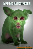 Avatar du membre