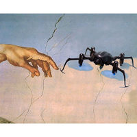Avatar du membre